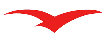 image-removebg-preview-7.png